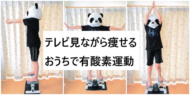 血色の良い 疎外 レザー ステッパー 痩せる のか Mv Hero Jp