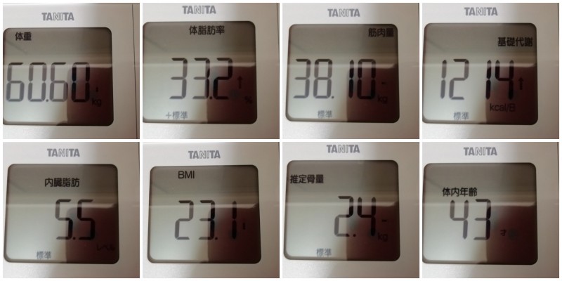 体脂肪・筋肉量・基礎代謝・内臓脂肪・BMI・体内年齢・推定骨量